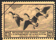 duck stamp image rw03