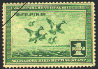 duck stamp image rw04