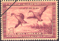 duck stamp image rw05