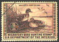 duck stamp image rw06