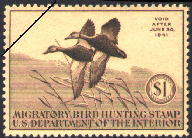 duck stamp image rw07