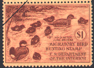 duck stamp image rw08