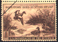 duck stamp image rw09