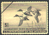 duck stamp image rw12