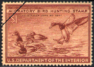 duck stamp image rw13