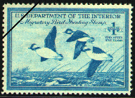 duck stamp image rw15