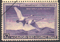duck stamp image rw17