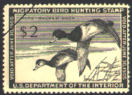 duck stamp image rw21