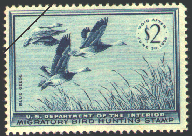 duck stamp image rw22
