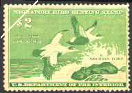 duck stamp image rw24