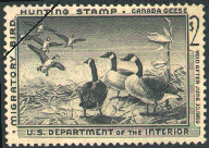duck stamp image rw25
