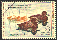 duck stamp image rw27