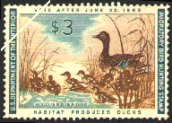 duck stamp image rw28