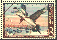 duck stamp image rw29