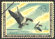 duck stamp image rw30