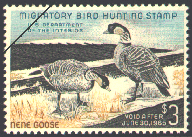 duck stamp image rw31