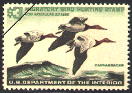duck stamp image rw32