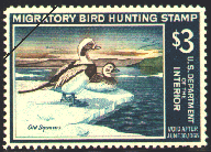 duck stamp image rw34