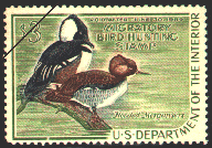 duck stamp image rw35