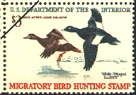 duck stamp image rw36