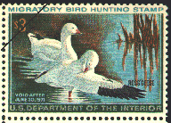 duck stamp image rw37