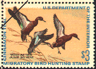 duck stamp image rw38