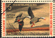 duck stamp image rw39