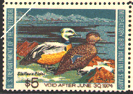 duck stamp image rw40