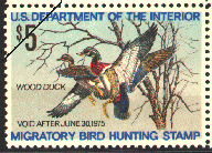 duck stamp image rw41