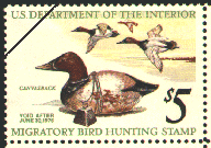 duck stamp image rw42
