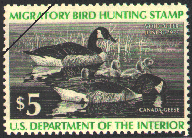 duck stamp image rw43