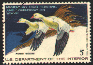 duck stamp image rw44