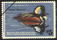 duck stamp image rw45