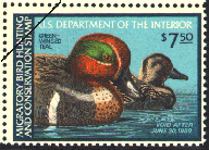duck stamp image rw46