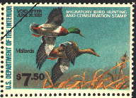 duck stamp image rw47