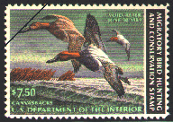 duck stamp image rw49