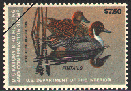 duck stamp image rw10