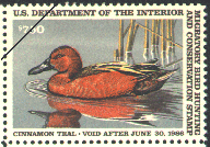 duck stamp image rw52