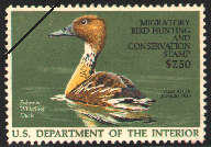 duck stamp image rw53