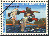 duck stamp image rw54