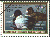 duck stamp image rw56