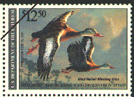duck stamp image rw57