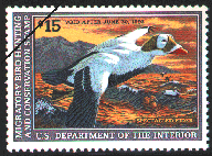 duck stamp image rw59