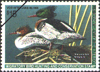 duck stamp image rw61