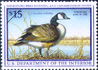 duck stamp image rw64