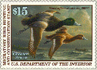 duck stamp image rw66