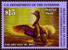 duck stamp image rw67