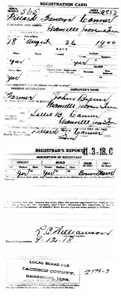 Dillard Conner WWI draft registration